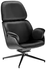 Contemporary Flared Chair
