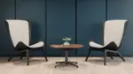 Set of 2 Accent Chairs