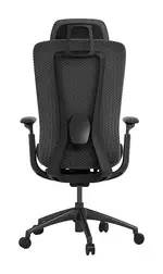 Ergonomic Desk Chair
