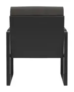Indoor Lounge Chair