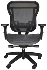 Classic Mesh Chair