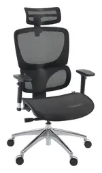Mesh Ergonomic Executive Chair