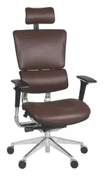 Ergonomic Executive Chair