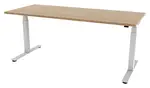 Electric Sit Stand Desk