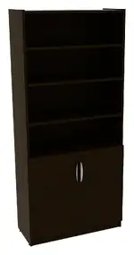Bookcase with Locking Doors