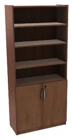 Bookcase with Locking Doors