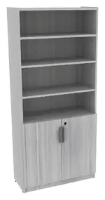 Bookcase with Locking Doors