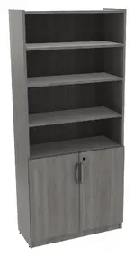 Bookcase with Locking Doors