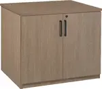 Storage Cabinet with Doors
