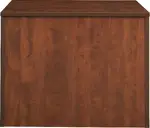 Storage Cabinet with Doors