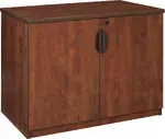 Storage Cabinet with Doors