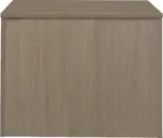 Storage Cabinet with Doors