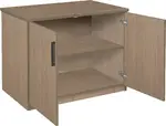 Storage Cabinet with Doors