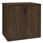 Modern Cabinet