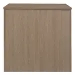 Modern Cabinet