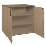 Modern Cabinet