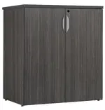 Modern Cabinet