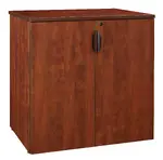 Modern Cabinet