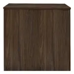 Modern Cabinet