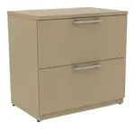 2 Drawer Lateral File Cabinet