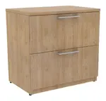 2 Drawer Lateral File Cabinet