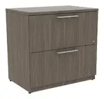 2 Drawer Lateral File Cabinet