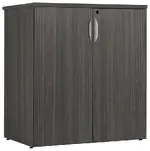 Storage Cabinet with Lock