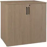 Storage Cabinet with Lock