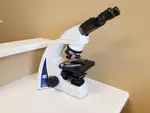 I-4 LW Scientific Microscope Microscopes