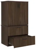 Lateral File Cabinet with Storage