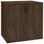 Lockable Storage Cabinet