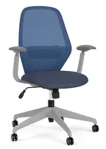 Mesh Back Office Chair with Lumbar Support
