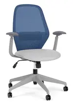 Mesh Back Office Chair with Lumbar Support