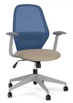 Mesh Back Office Chair with Lumbar Support
