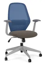 Mesh Back Office Chair with Lumbar Support