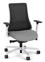 Mesh Back Office Chair with Lumbar Support