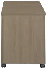 2 Drawer Mobile Pedestal