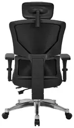 Executive Office Chair with Headrest
