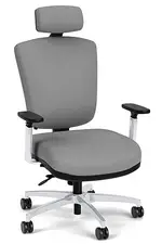 Executive Office Chair with Headrest