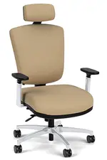 Executive Office Chair with Headrest