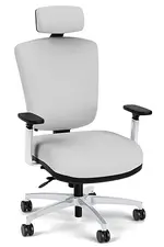 Executive Office Chair with Headrest