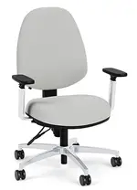 Mid Back Office Chair with Lumbar Support