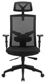 Ergonomic Office Chair with Headrest