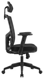 Ergonomic Office Chair with Headrest