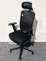 Ergonomic Office Chair with Headrest