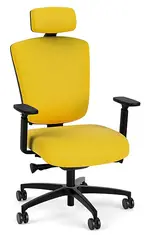 Ergonomic Heavy Duty Chair with Lumbar Support