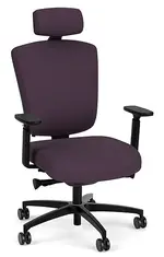 Ergonomic Heavy Duty Chair with Lumbar Support