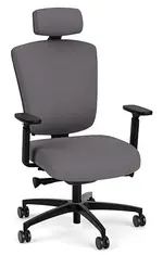 Ergonomic Heavy Duty Chair with Lumbar Support