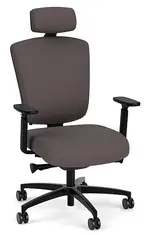Ergonomic Heavy Duty Chair with Lumbar Support