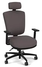 Ergonomic Chair with Lumbar Support and Headrest